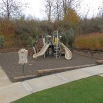 Country View Manor playground